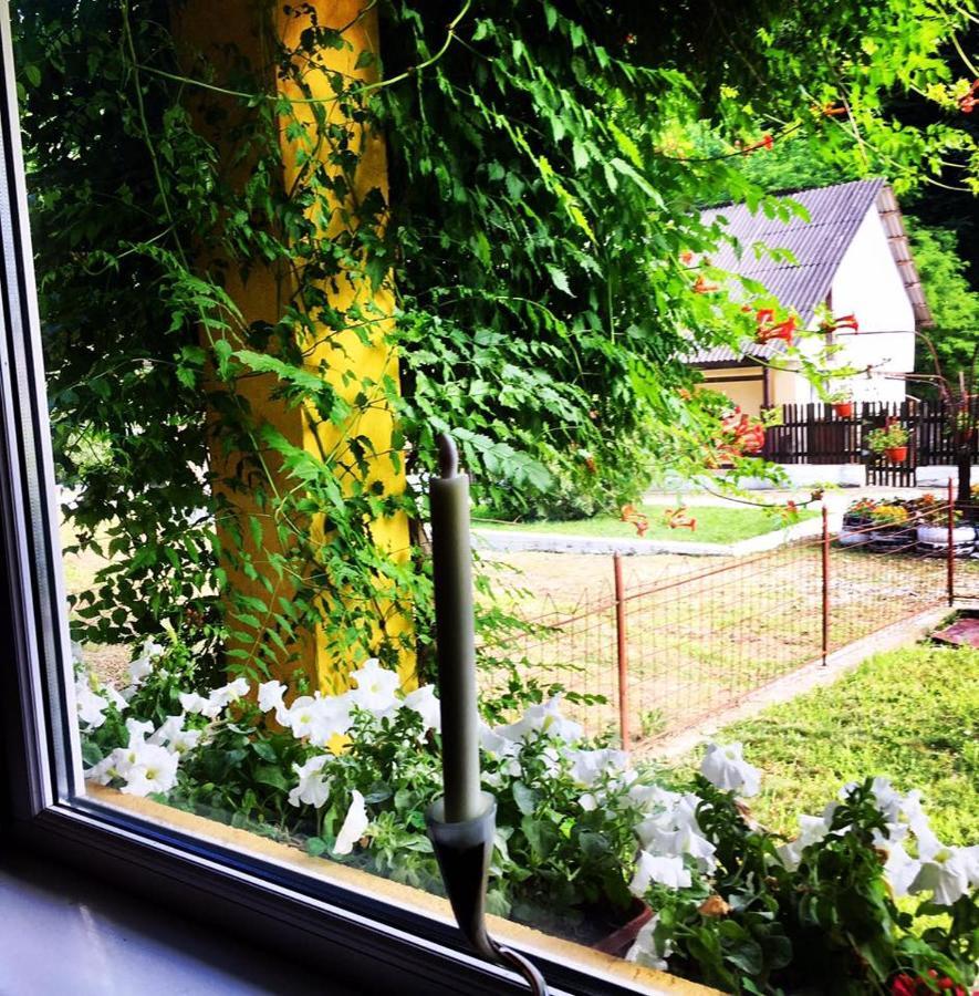 House In The Woods Bed and Breakfast Resita Eksteriør billede